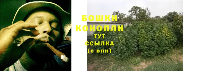 Шишки марихуана White Widow  маркетплейс состав  Котельники 